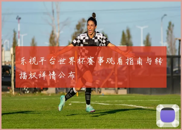 乐视平台世界杯赛事观看指南与转播权详情公布
