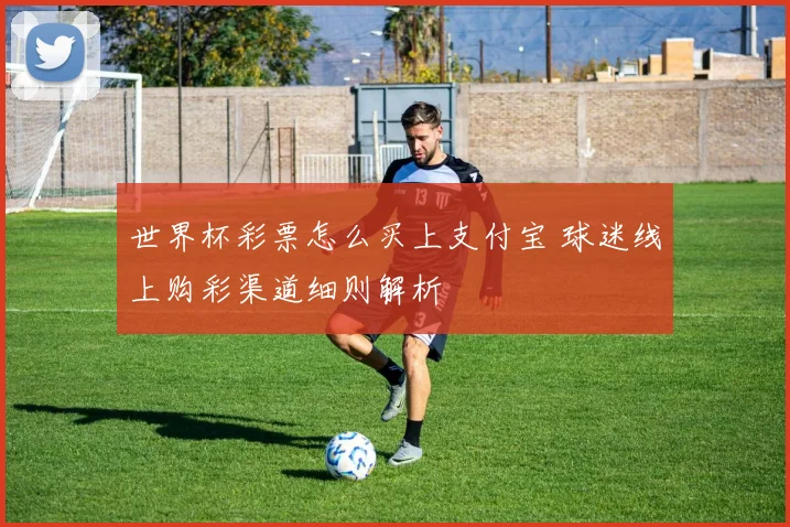 世界杯彩票怎么买上支付宝 球迷线上购彩渠道细则解析