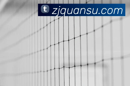 开云手机入口官网下载APP 封面图